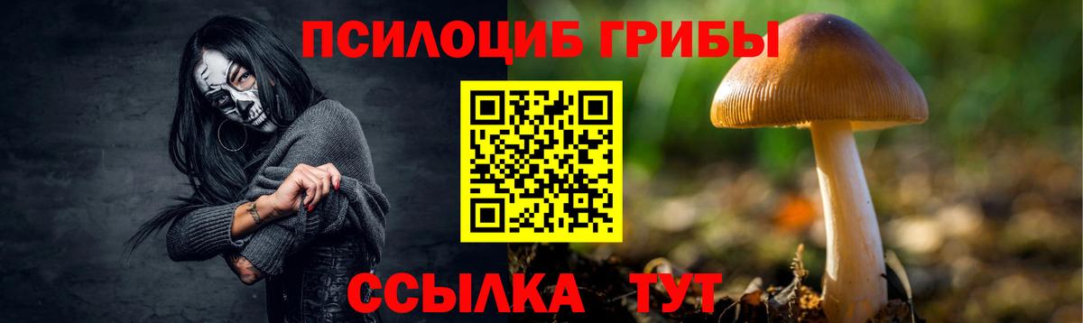 Галлюциногенные грибы прущие грибы Белебей