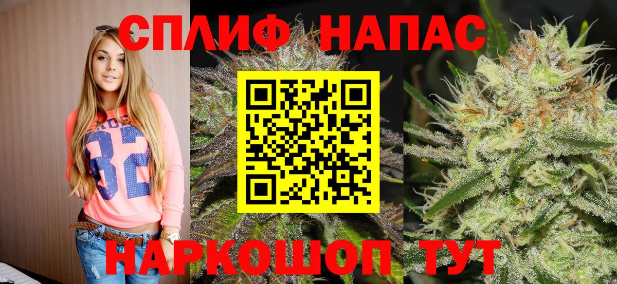 Каннабис сатива Белебей